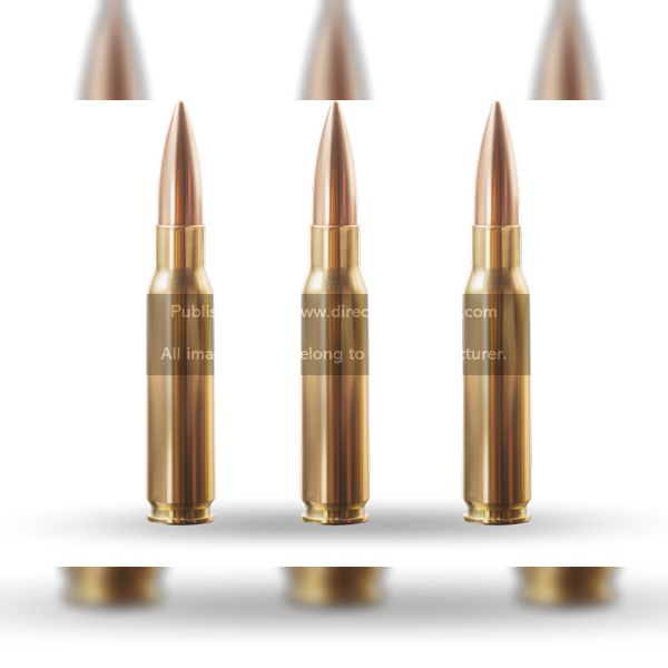 Weapons Firearms / Ammunition Technologies