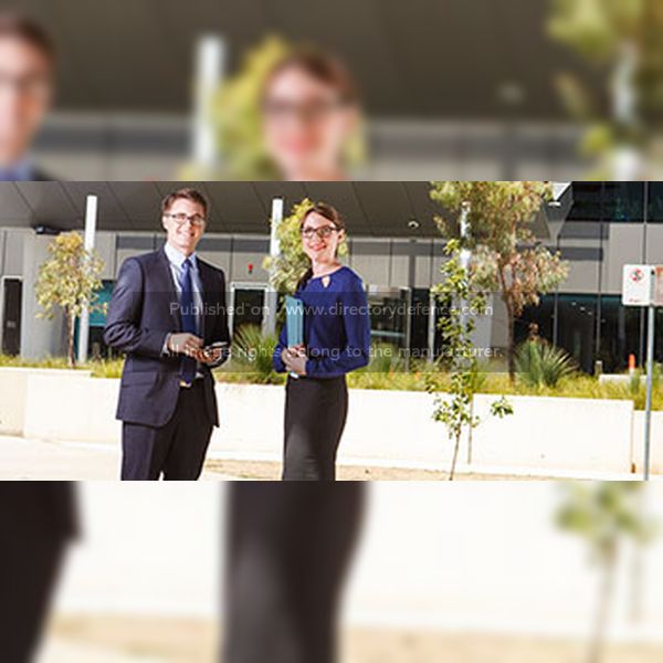 Professional Services / Consulting