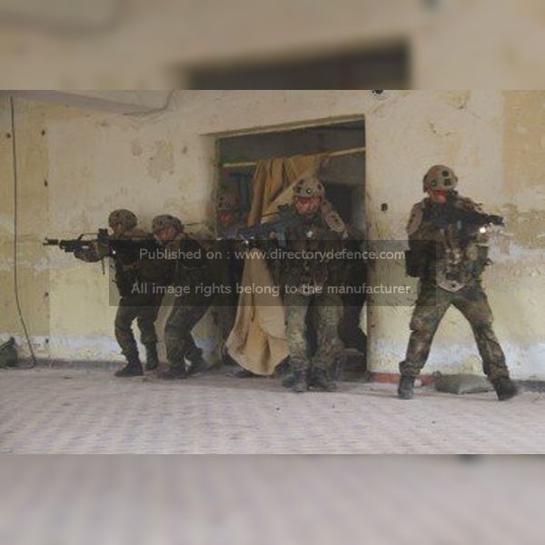 Training / Simulation Systems