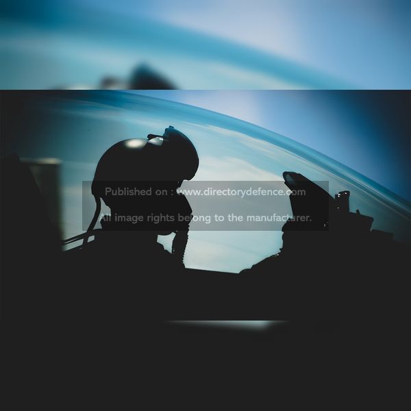 IT / Cyber / Software / Computing Technologies